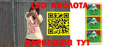 гидра Будённовск