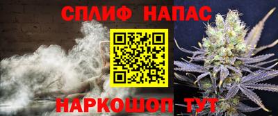 гидра Будённовск
