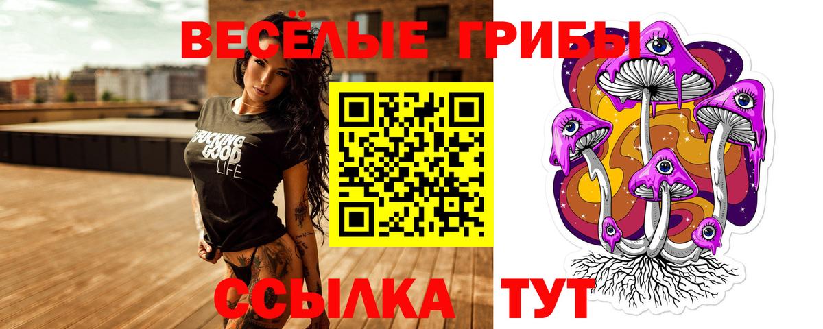 Саров  Галлюциногенные грибы ЛСД  Вход с VPN 
